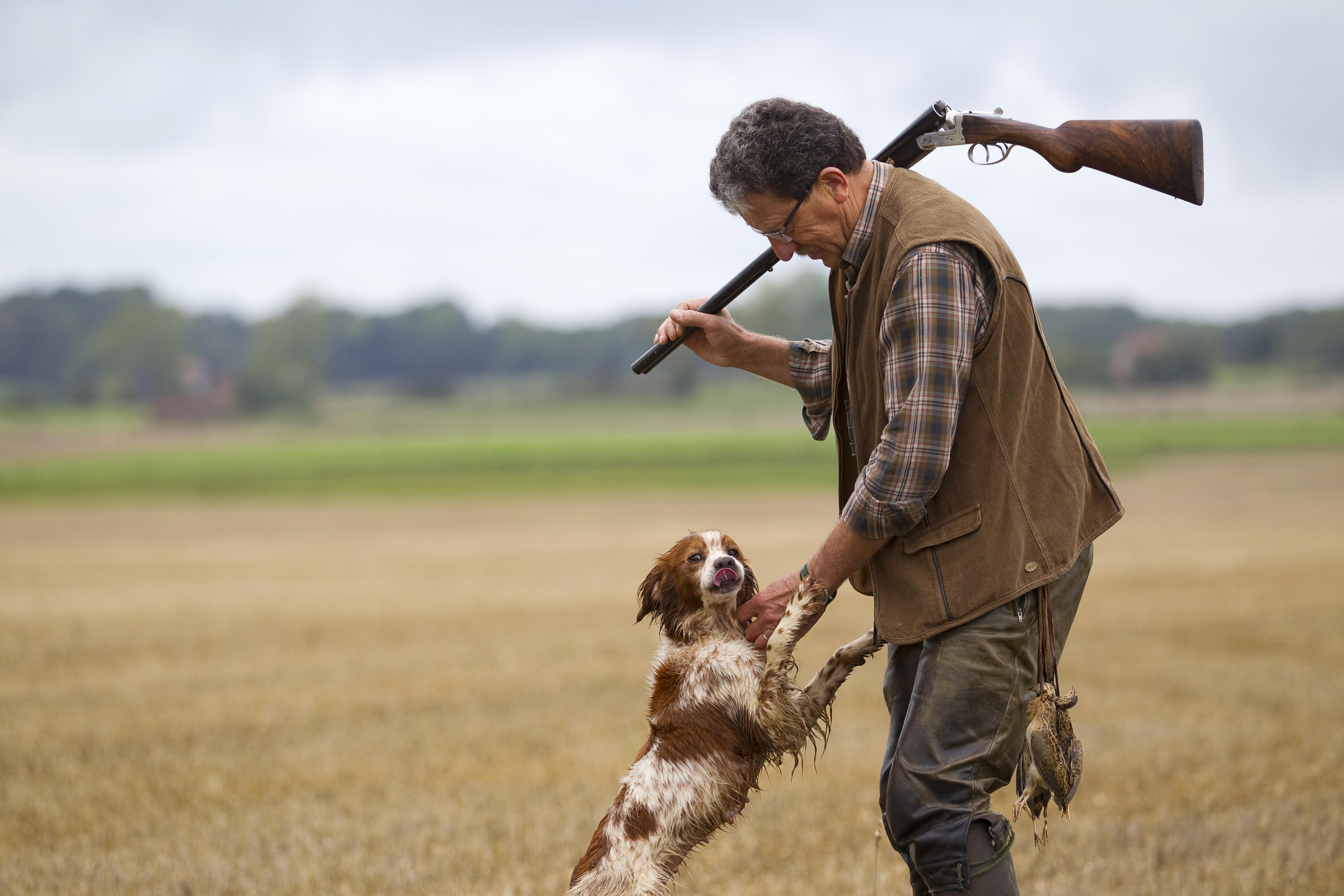 Appel aux chasseurs de cailles des blés !