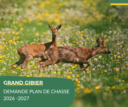 Saisissez votre demande de plan de chasse 2026-2027 