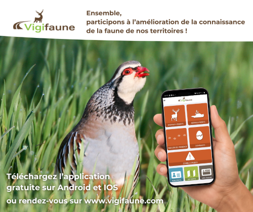 Rejoignez le réseau Vigifaune ! 