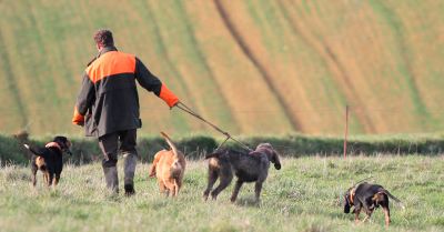 Des territoires de chasse audités...