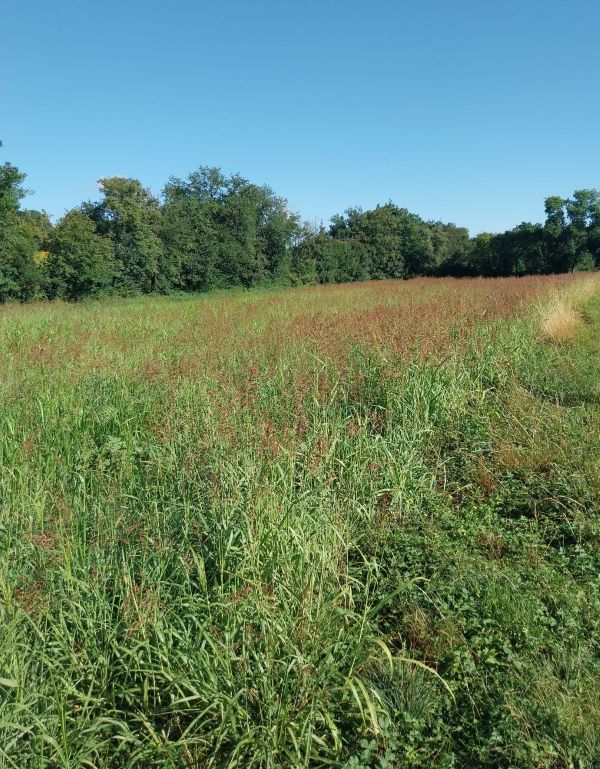 Trame verte : chasseurs, agriculteurs, collectivités, particuliers… tous engagés ! 