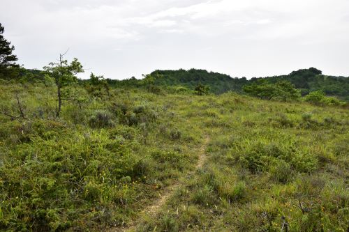 Des inventaires sur le site de Boucagnères 