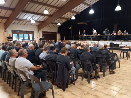 Rencontre des paloumayres à Vic-Fezensac