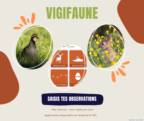 Participez à l’amélioration des connaissances des espèces ! 