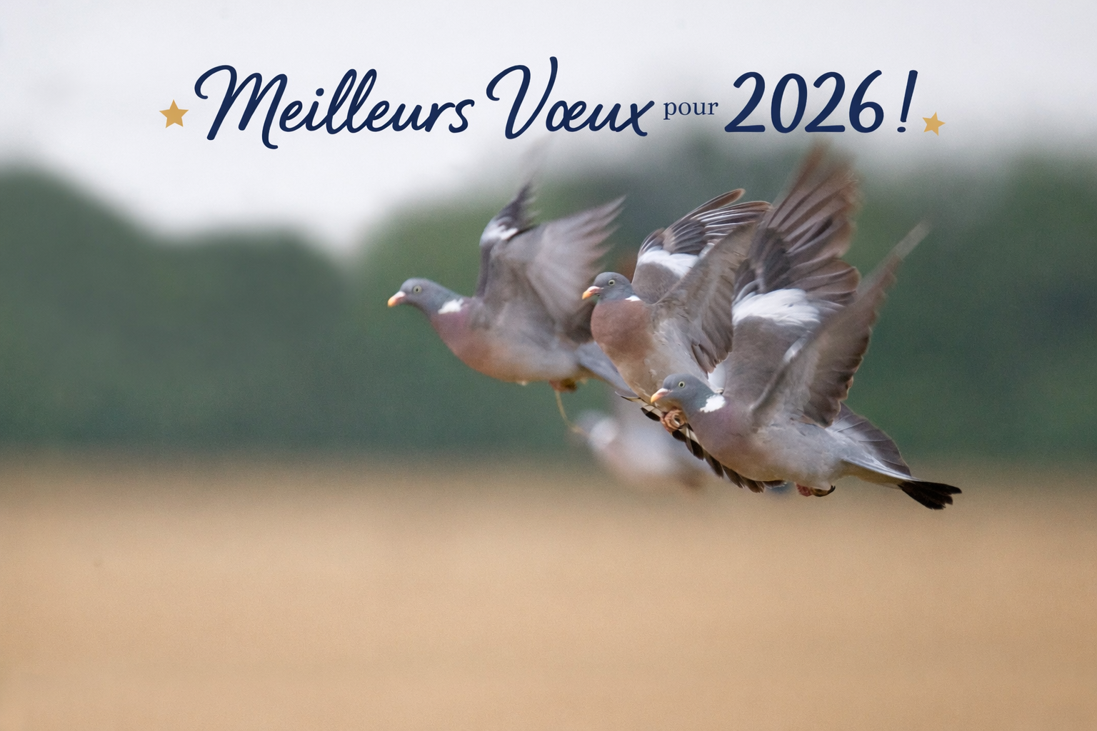 Union du Sud Ouest : Meilleurs voeux 2026