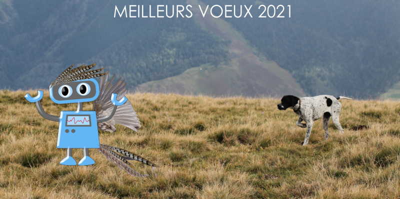 Belle année 2021