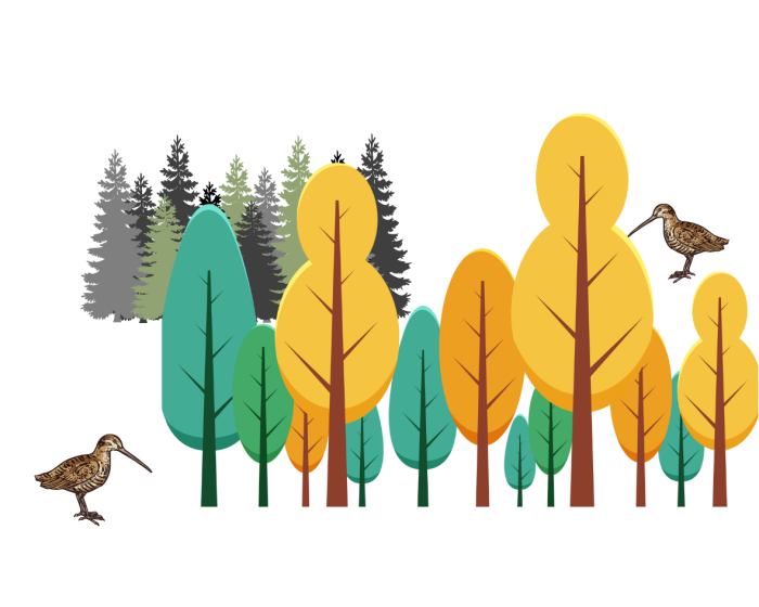 Carnet bécasse, des changements !