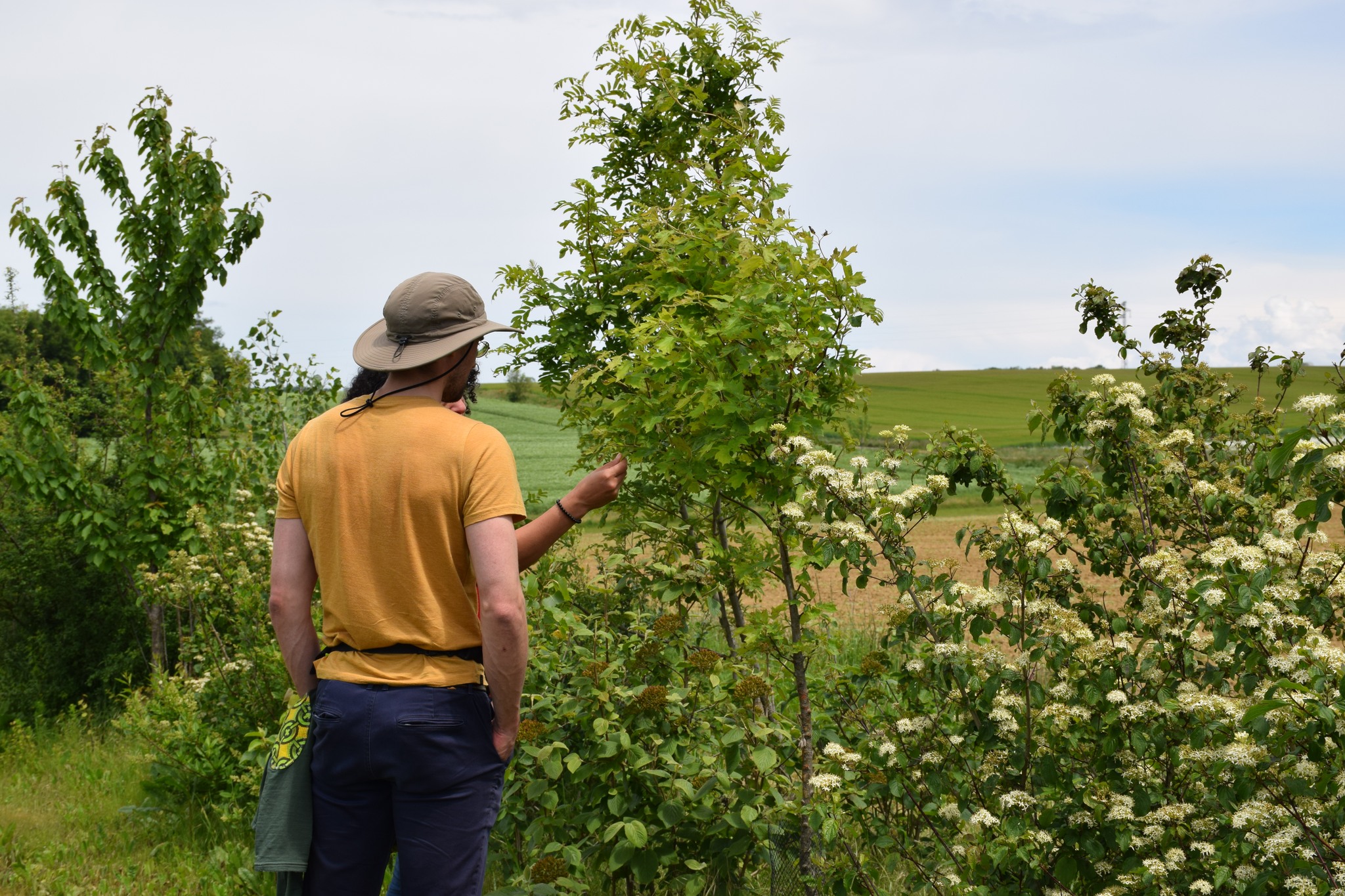 Prochainement : deux journées plantations et érosion des sols