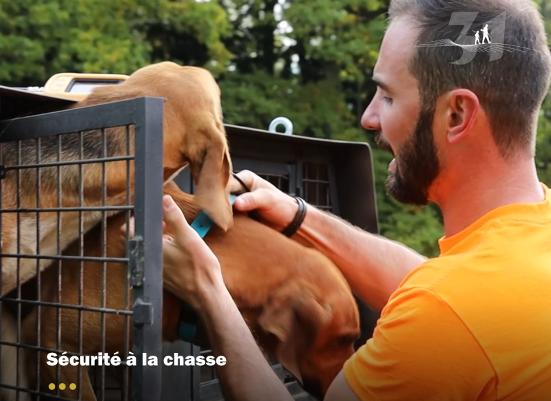 La FDC31 accompagne les nouveaux chasseurs dans leurs premiers pas sur le terrain