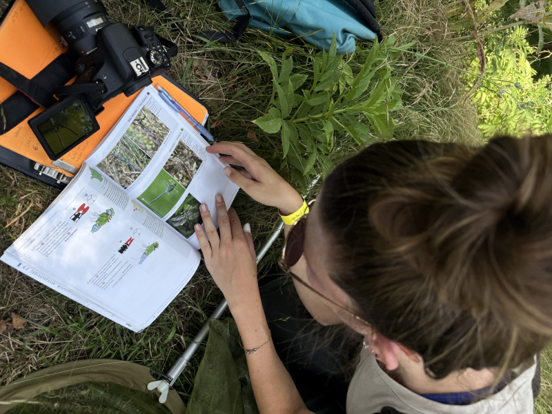 Un stage pour suivre les mares restaurées
