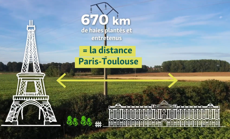 Les chasseurs engagés dans la biodiversité, en chiffres.