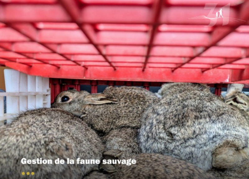 Gestion durable des ESOD