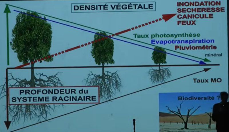 Lutter contre les îlots de chaleur