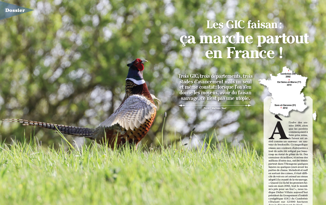 GIC Faisan : un projet local reconnu au niveau national