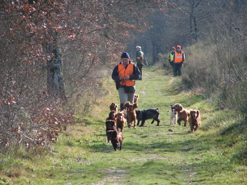 Ouverture générale de la chasse, c'est le 14 septembre 2025 !