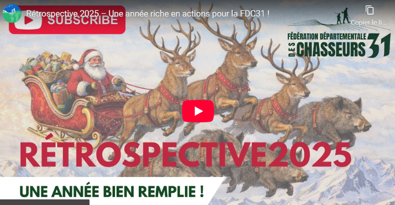 VIDEO : Patchwork retrospective de l'année 2025