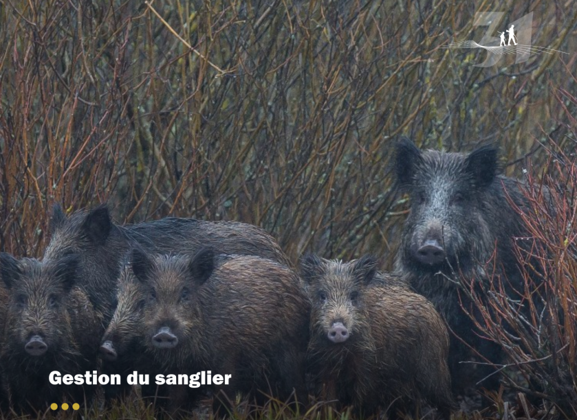 Réunions d'UG à mi-saison, un point indispensable