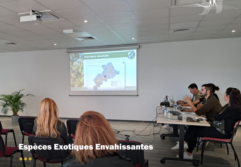 Deux Comités Techniques pour faire avancer la stratégie SAGE3 !