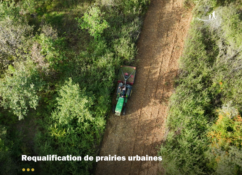 Une friche se transforme en prairie près de Toulouse !