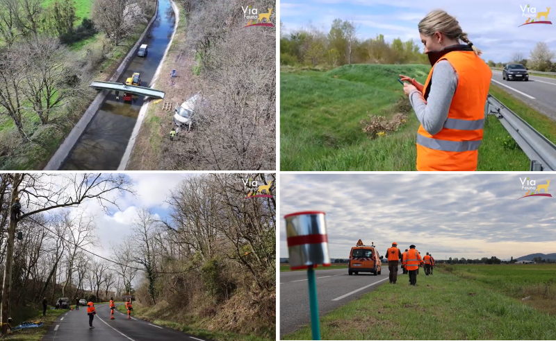 Agir pour la biodiversité : la FDC31 au coeur des continuités écologiques !