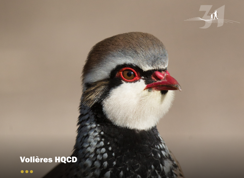 Volière HQCD* : une réussite confirmée pour le GIC Hers Ariège