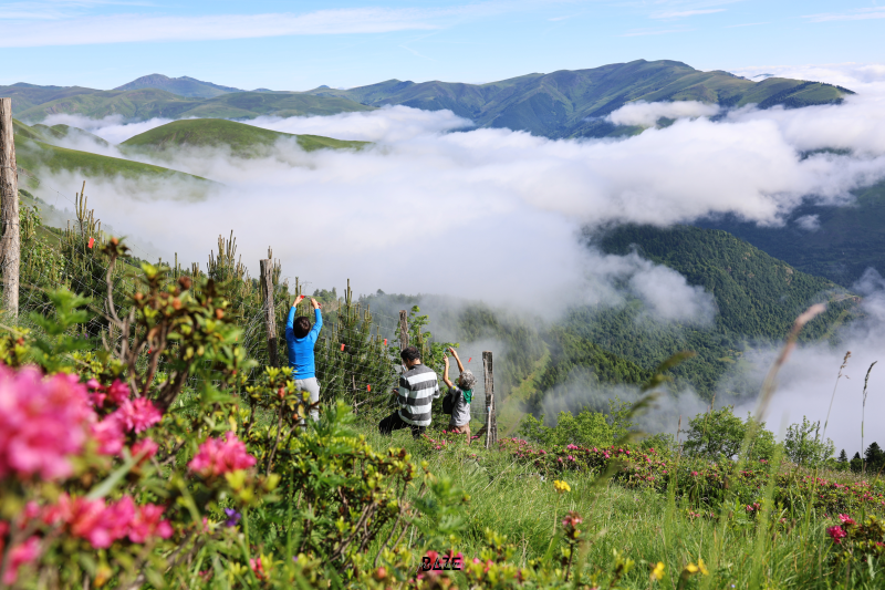 AVESPYR : agir pour protéger le Grand Tétras.