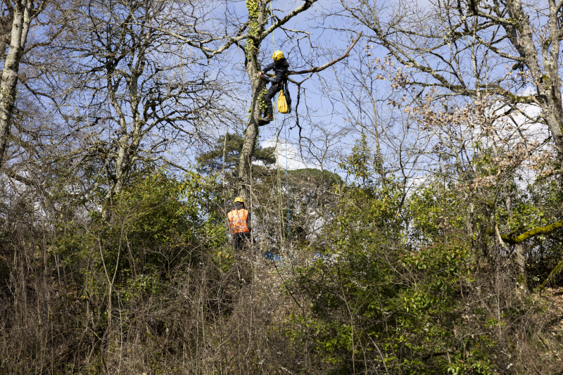 Un passage à écureuils pour les enfants de Montastruc