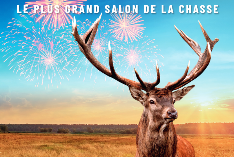 Game Fair, le plus grand salon de la chasse en France, profitez du tarif réduit !