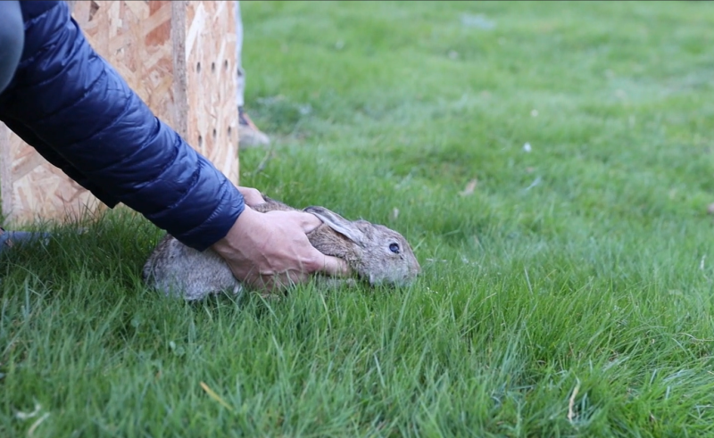 Mieux connaître les 11 GIC de Haute-Garonne en images