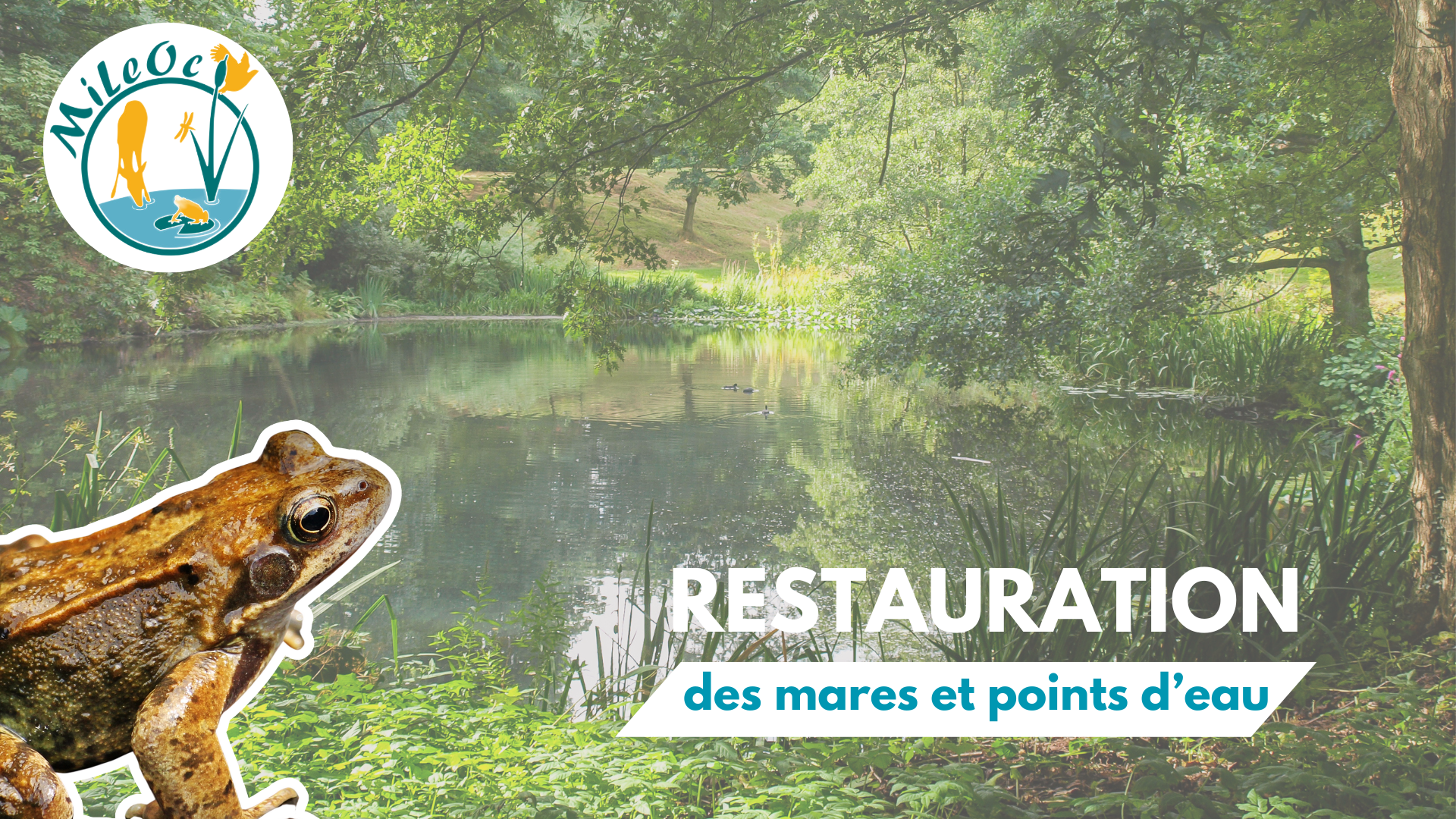 C’est au tour du GIC Bure-Saudrune de restaurer des mares.