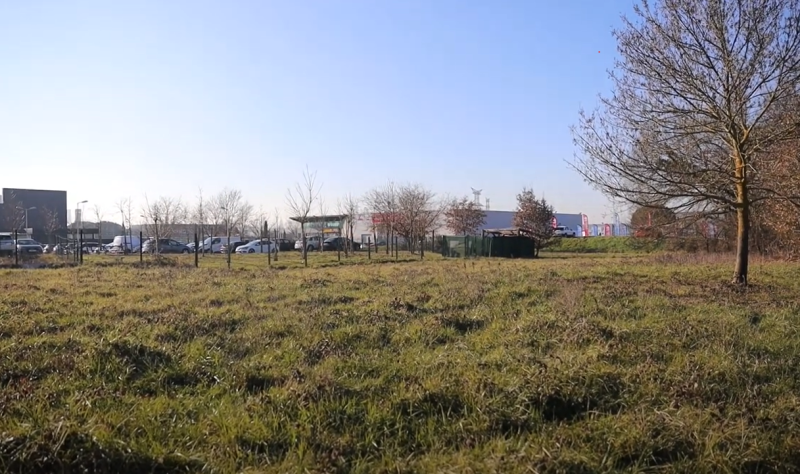 Sanglier en ville, si on passait de la gestion de l'espèce à la gestion de son habitat ?