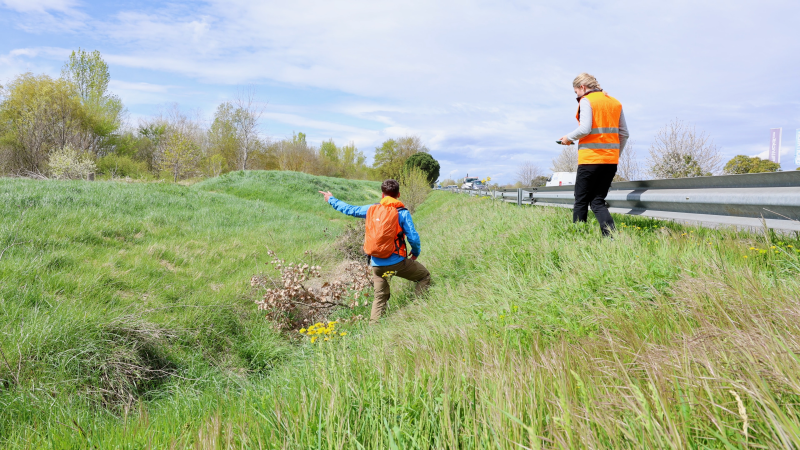 Des piquets réflecteurs pour sécuriser les routes 