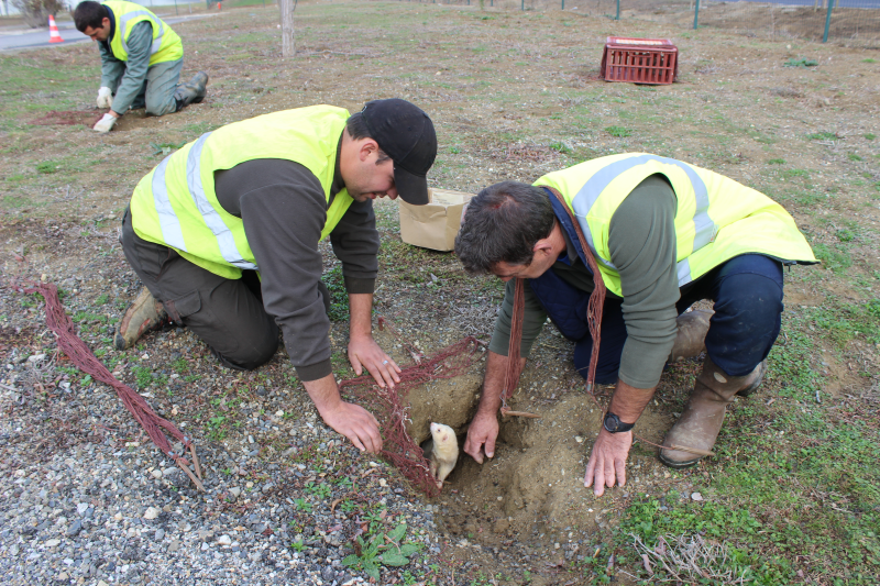 Reprise lapin, à quoi ça sert et comment ça se passe ?