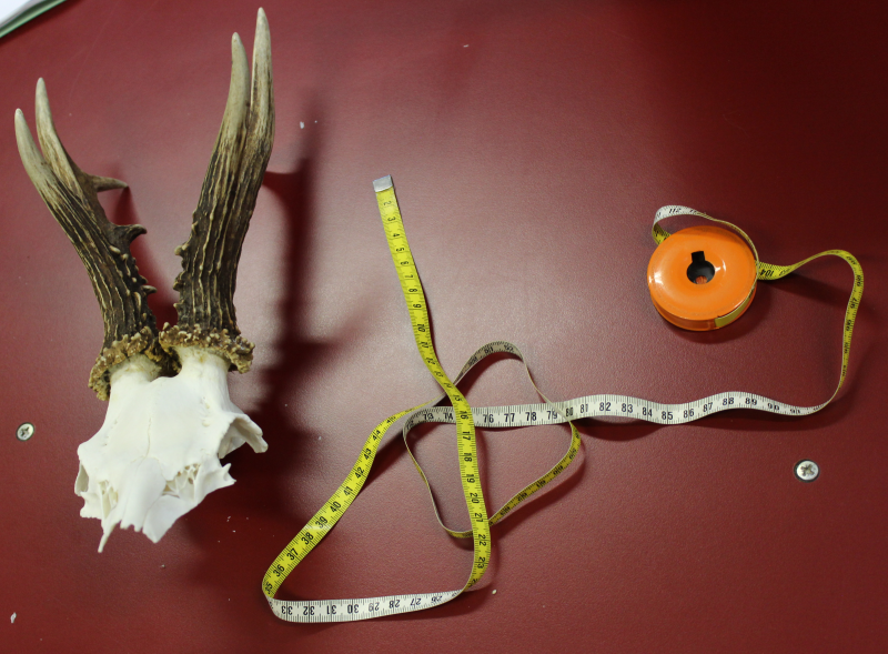 Connaissez-vous la cotation des trophées ?