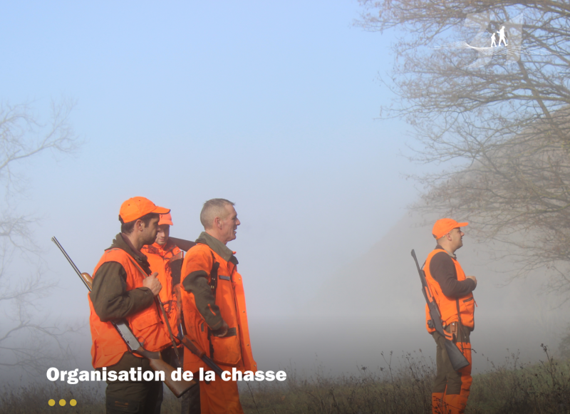 10 ans d'AICAF en Haute-Garonne : la fusion fait la force !