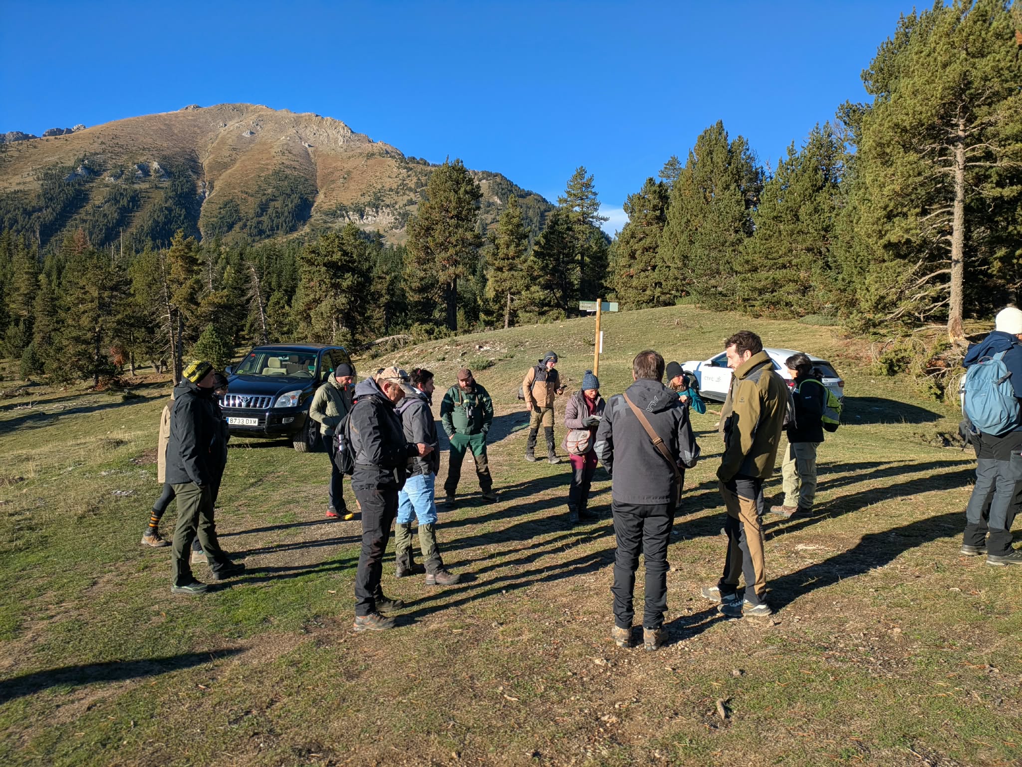 ESPIR : partage franco-espagnol pour concilier grand-gibier et forêt