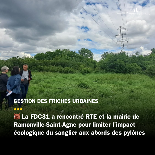 La Fédération en appui à RTE et à Ramonville-Saint-Agne