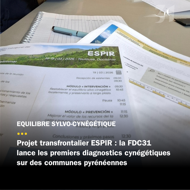 Un diagnostic cynégétique pour comprendre la progression du Cerf dans les Pyrénées