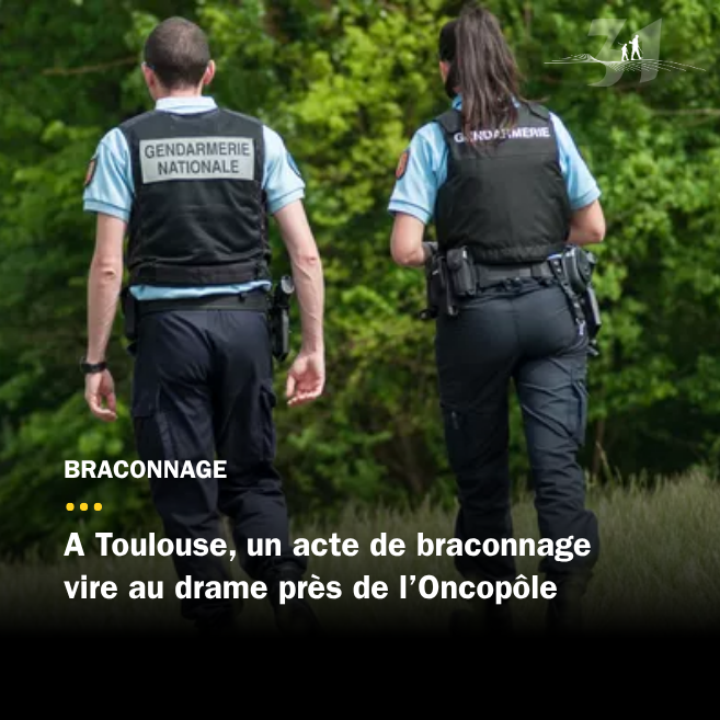 Un acte de braconnage vire au drame à Toulouse