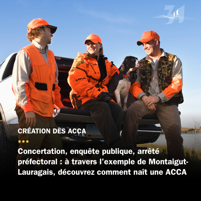 Comment naît une ACCA ?