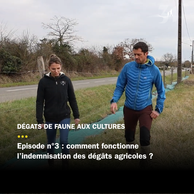 Épisode 3 – Comment fonctionne l'indemnisation des dégâts agricoles ?