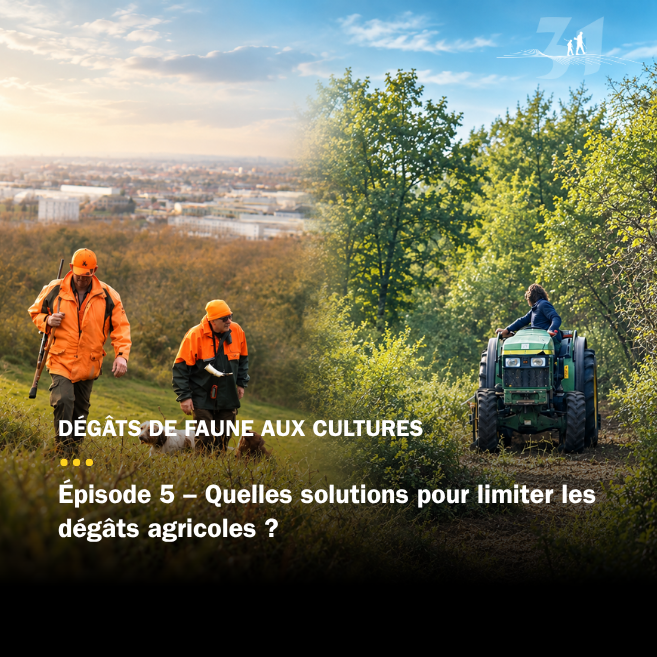Épisode 5 – Quelles solutions pour limiter les dégâts agricoles ?