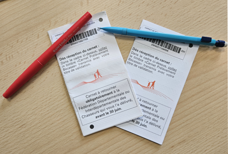 Fin de saison de la bécasse : n'oubliez pas votre carnet !