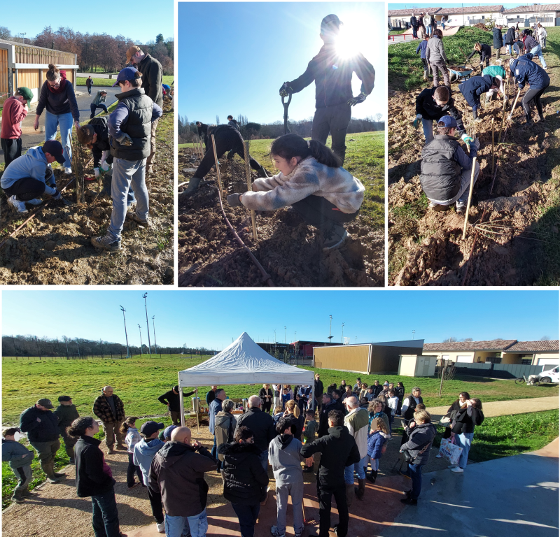 80 mètres de haie plantés à Fronton !
