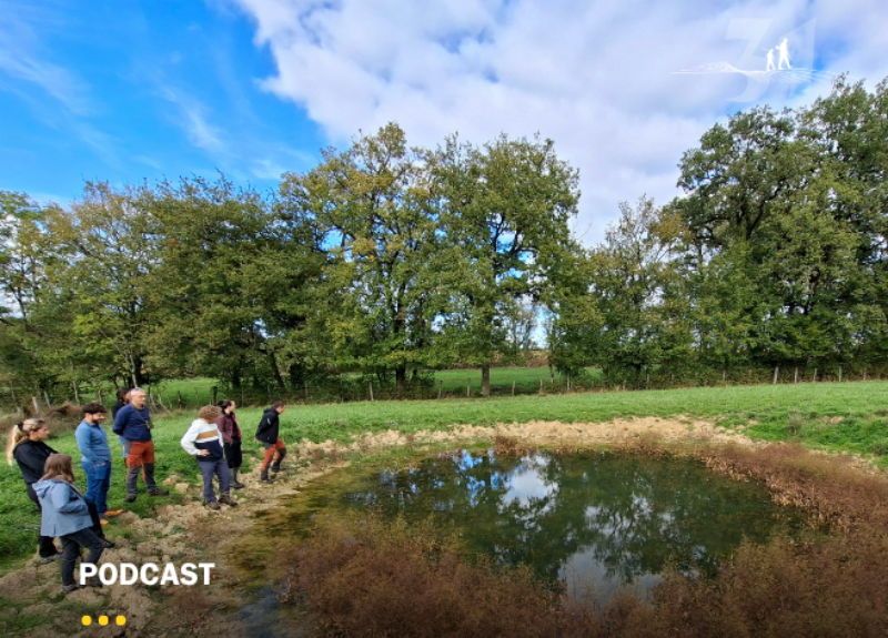 Quand la FDC31 replante des haies et restaure des mares ...