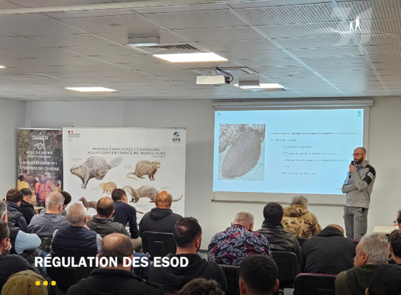 Informer les piégeurs sur les espèces protégées