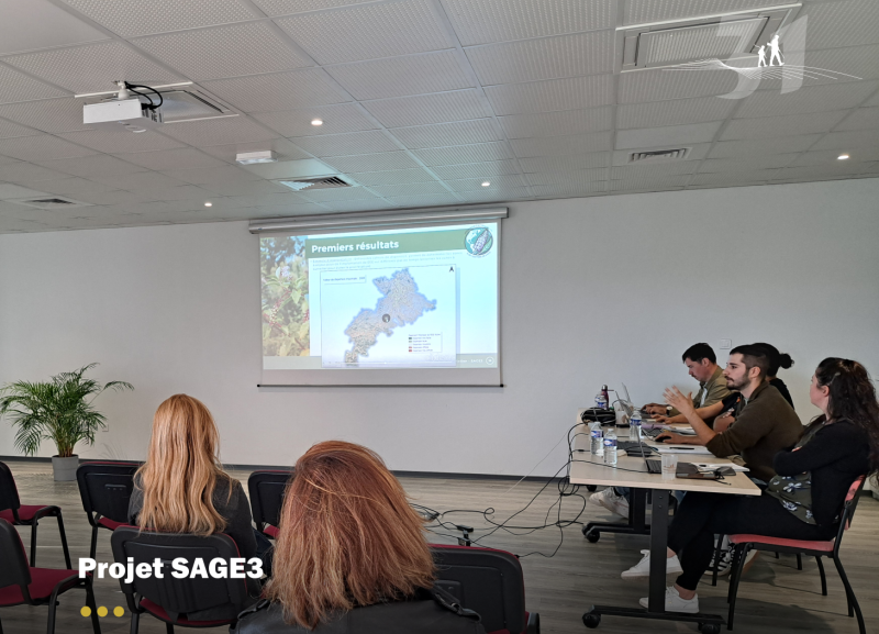 SAGE 3  une stratégie collective de construction