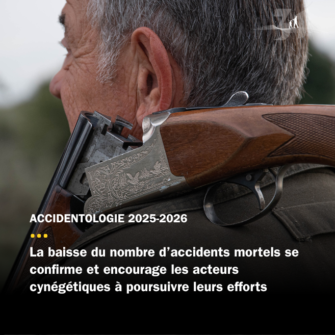 Sécurité à la chasse : des résultats encourageants