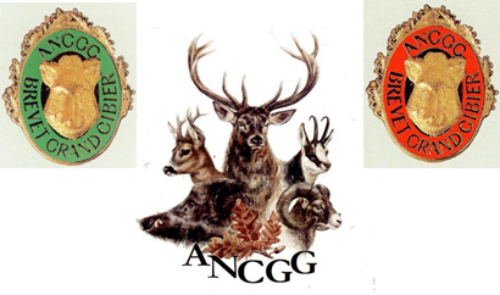 Brevet Grand Gibier, suivez la formation en 2026 !