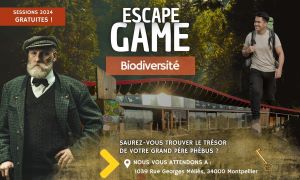 Ecole Buissonnière Escape game